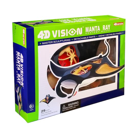 4D Vision™ Manta Ray Anatomy Model By 4D Master | Michaels®